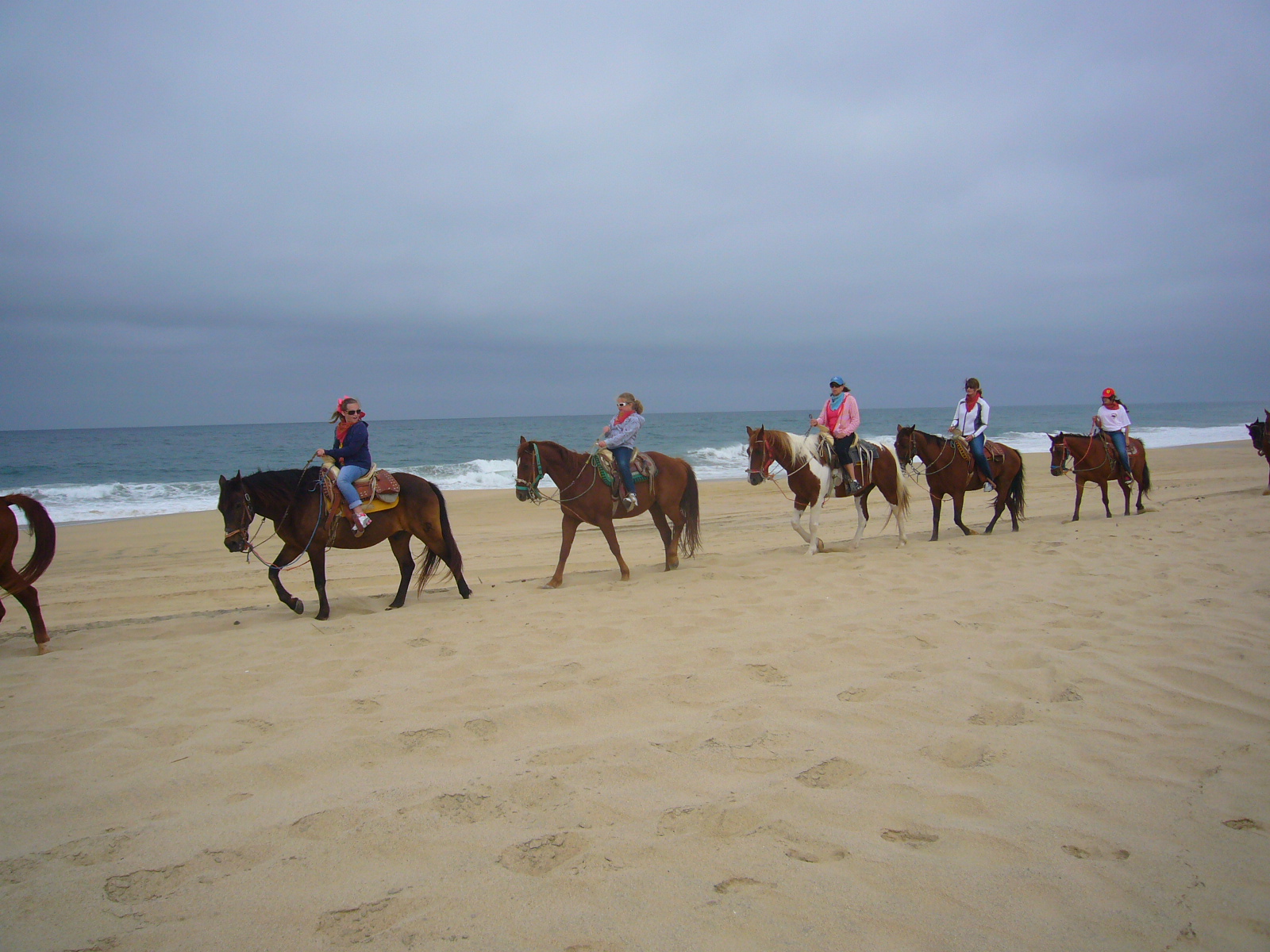 Combo ATV y Caballo en la Playa