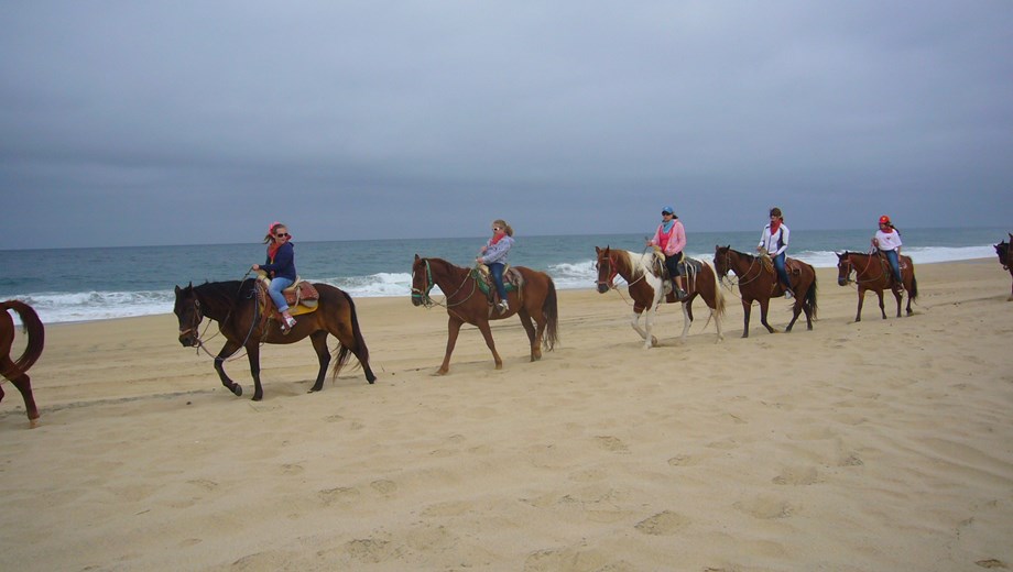 ATV and Horses on Beach