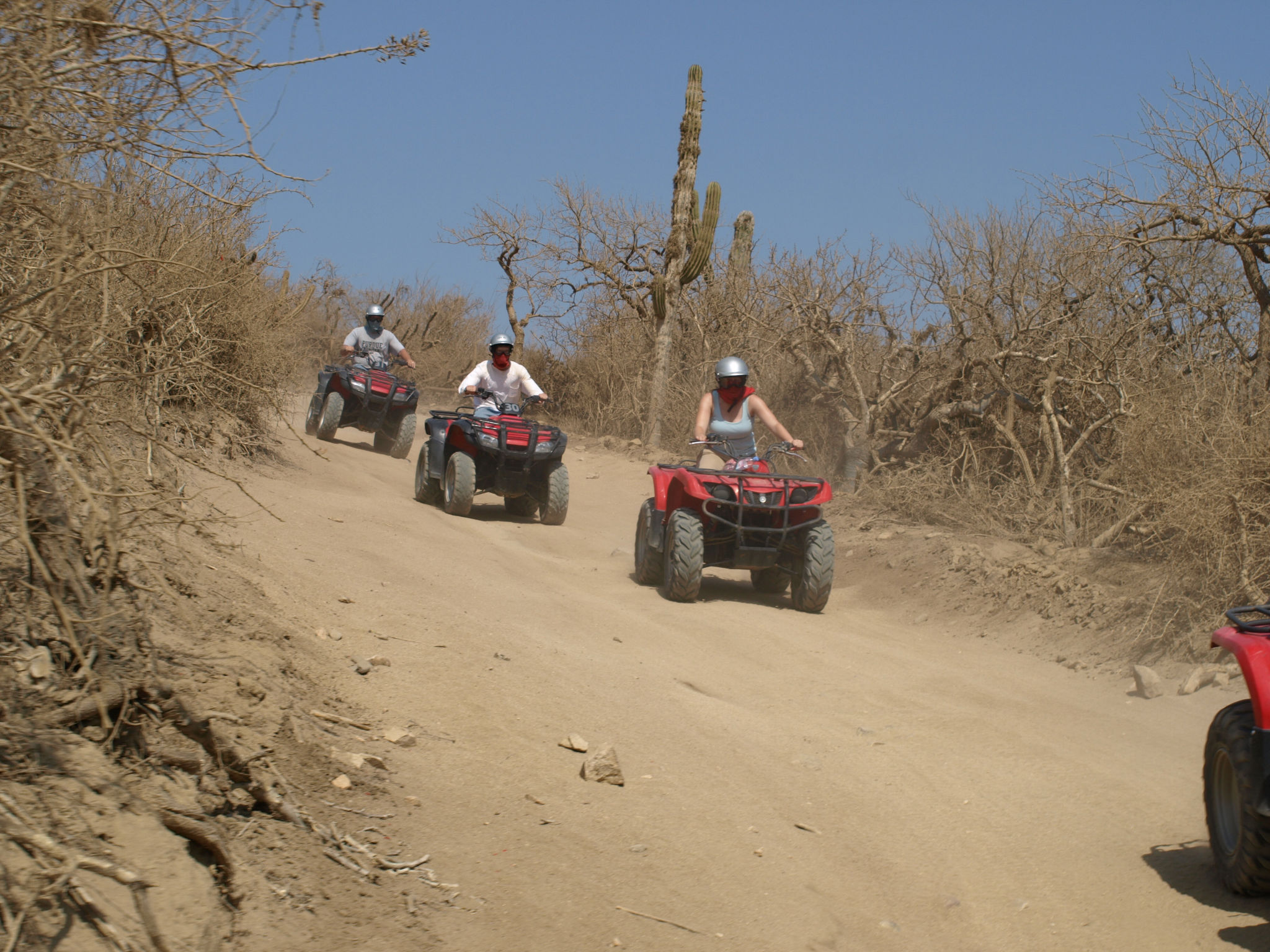 Combo ATV y Caballo en la Playa