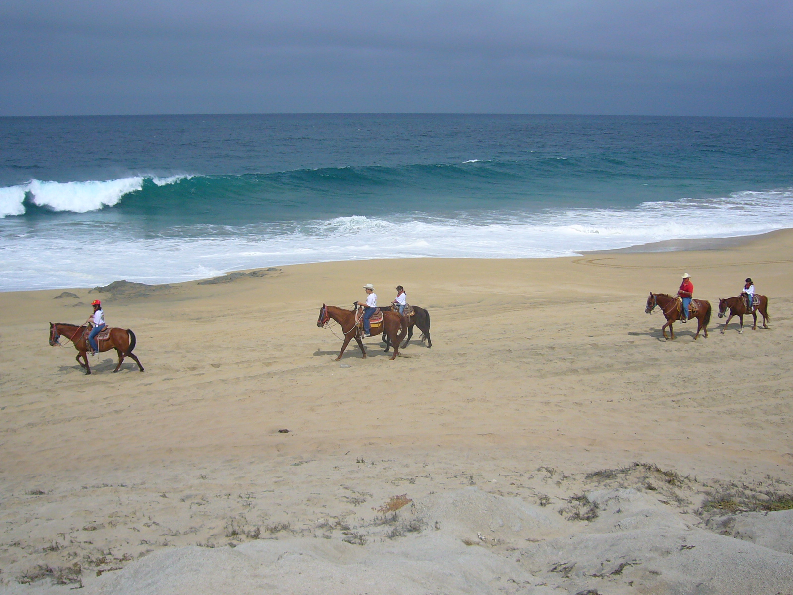 Combo ATV y Caballo en la Playa