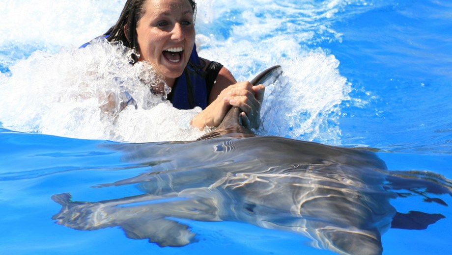 Nado con delfines