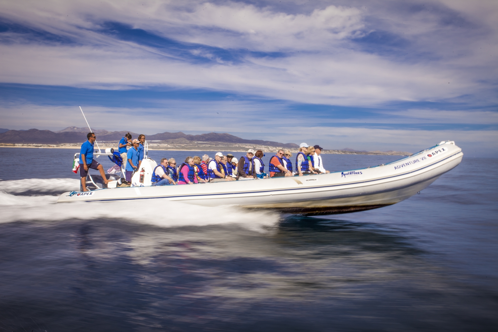 Whale Watching Photo Safari 