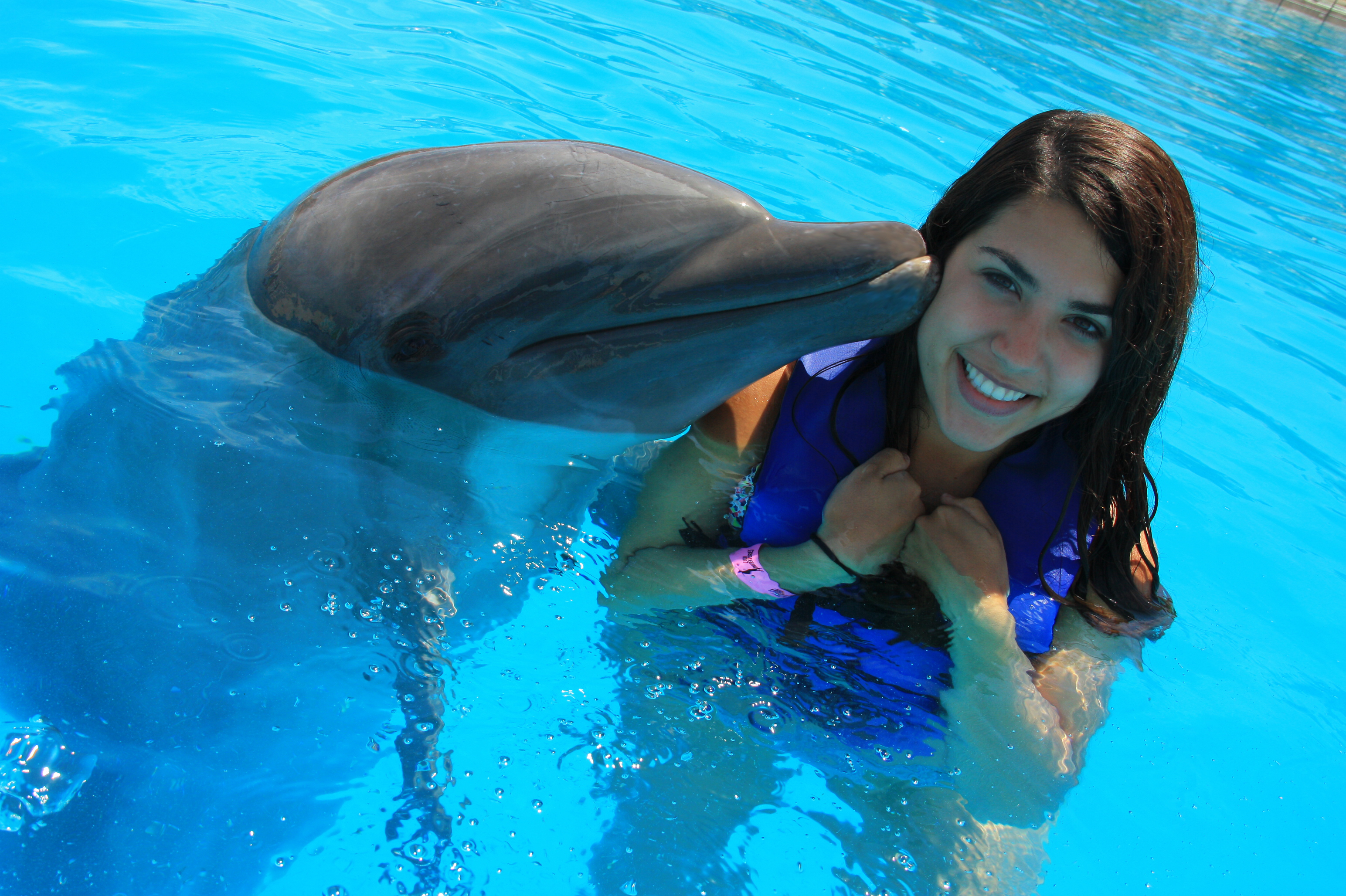 Dolphin Experience