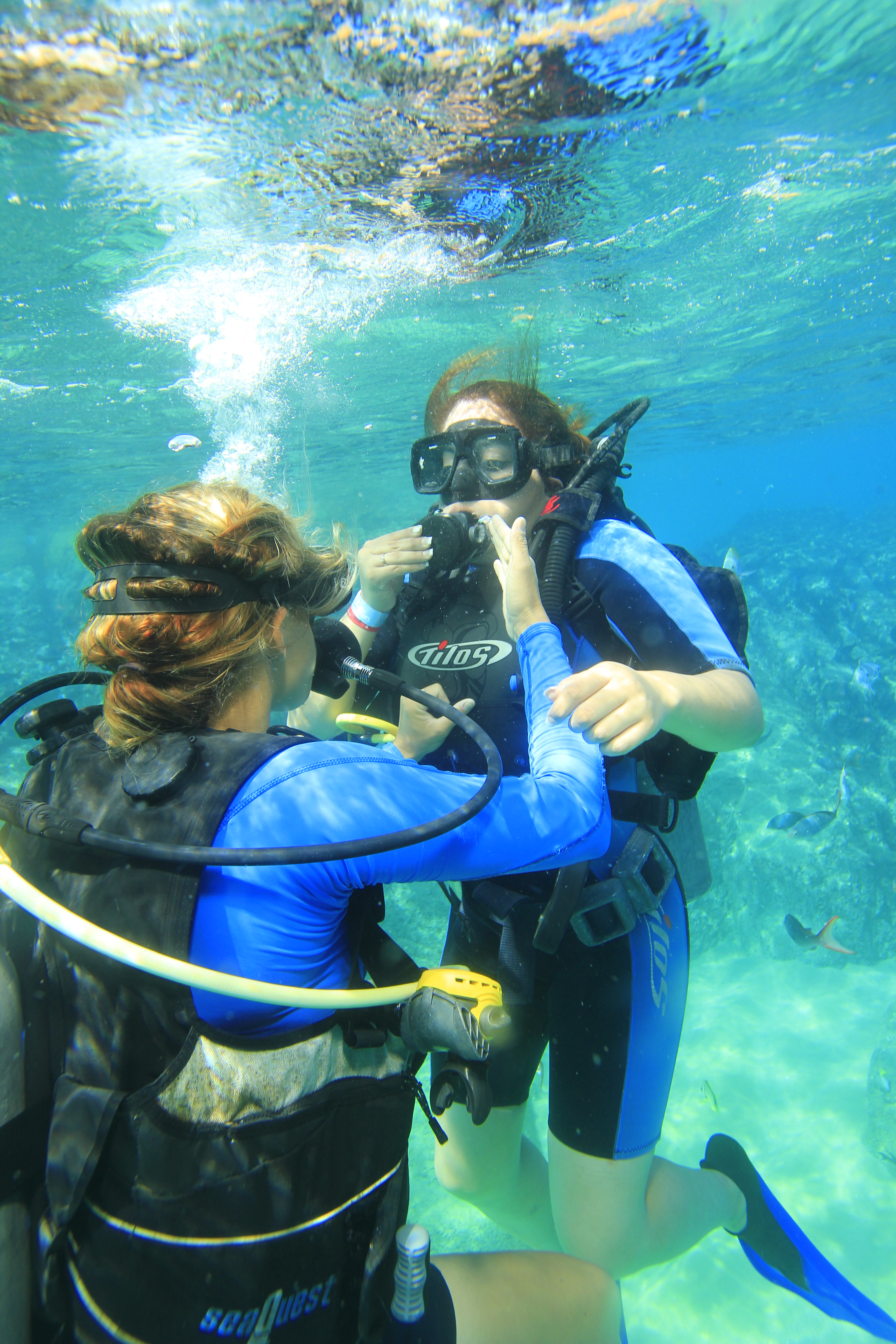 Certificación como buzo en Aguas Abiertas.