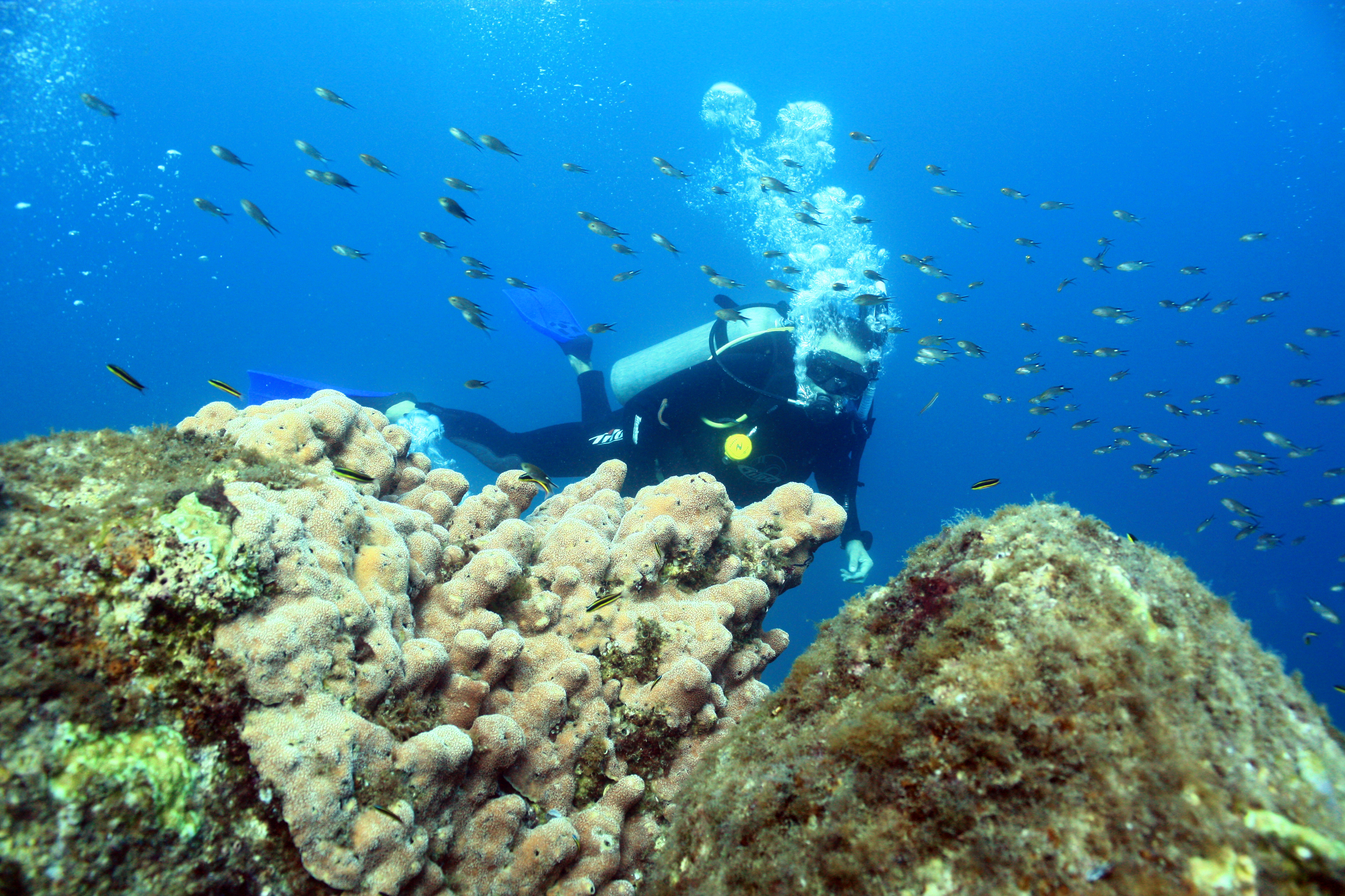 Certificacion buzo aguas abiertas avanzado