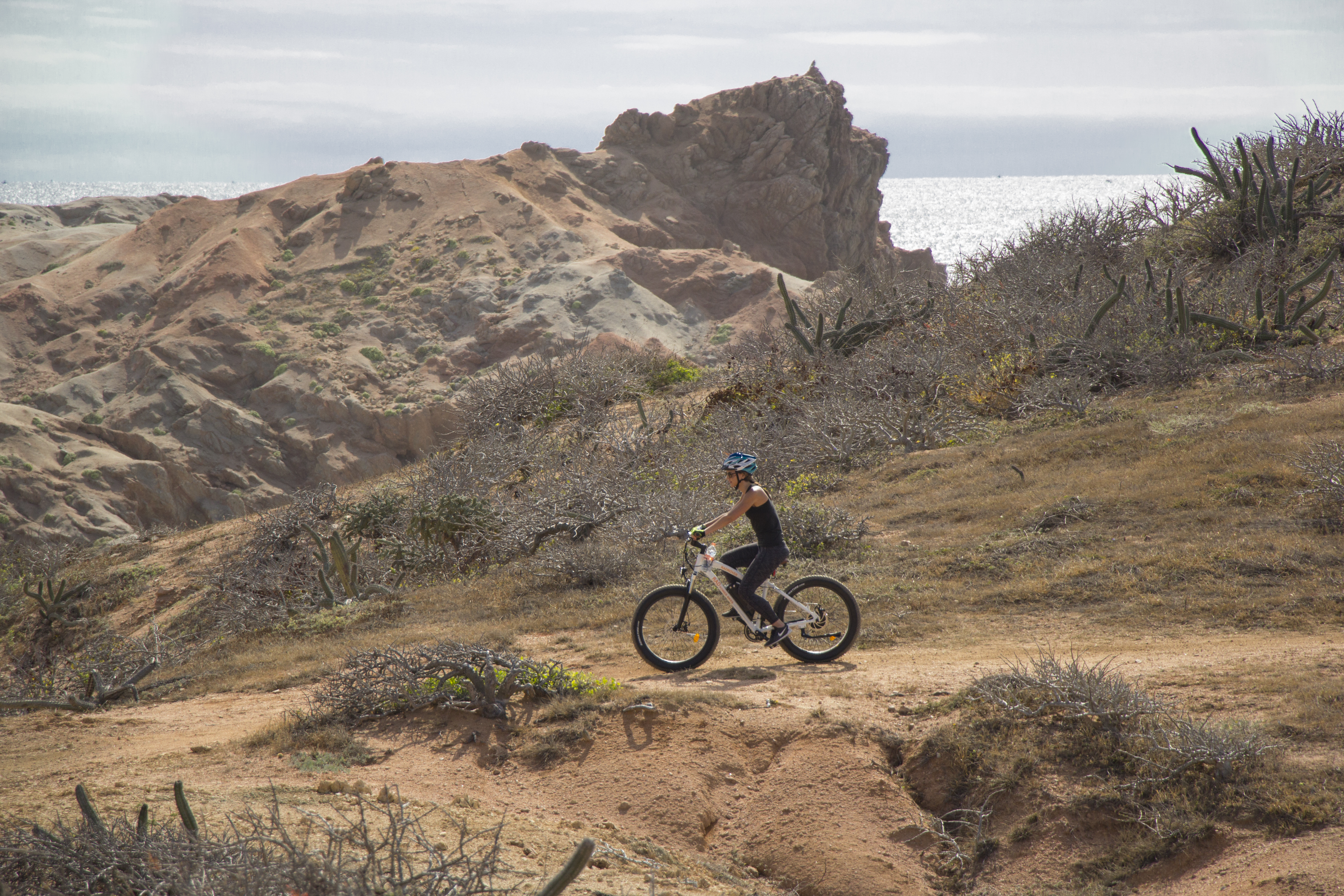 Electric Mountain Bike Adventure