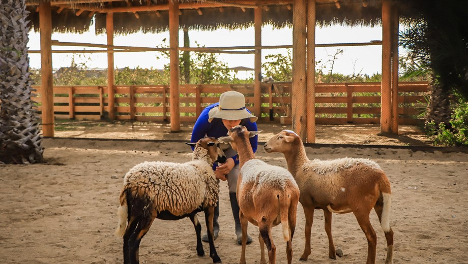 Camel Ecofarm + ATV