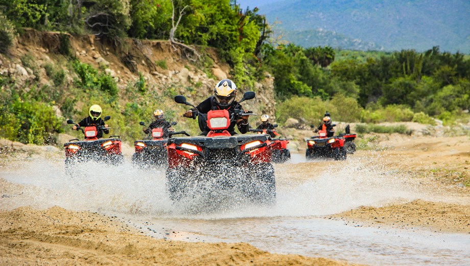 Camellos + ATV  + Ecofarm