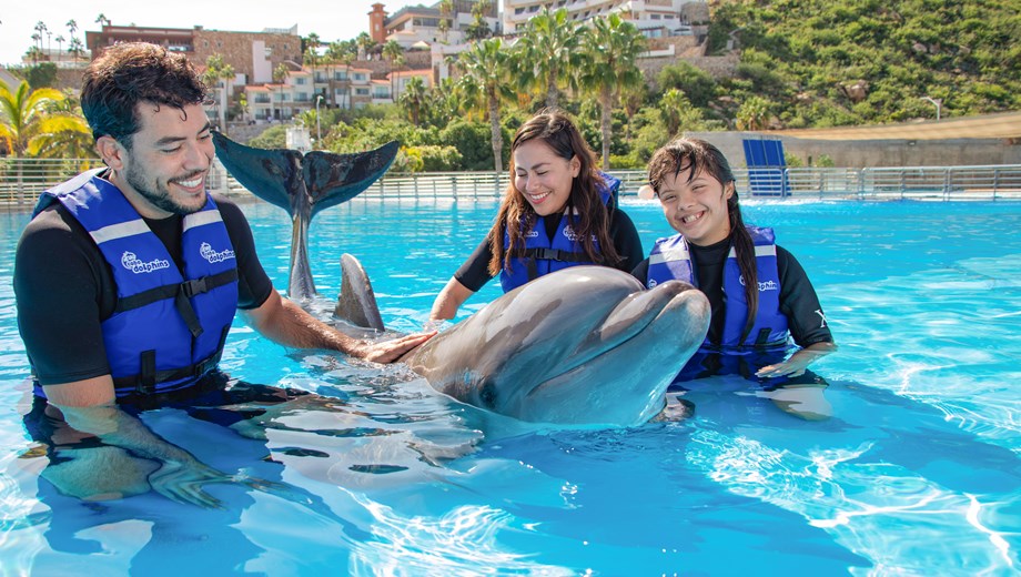 Nado con Delfines VIP