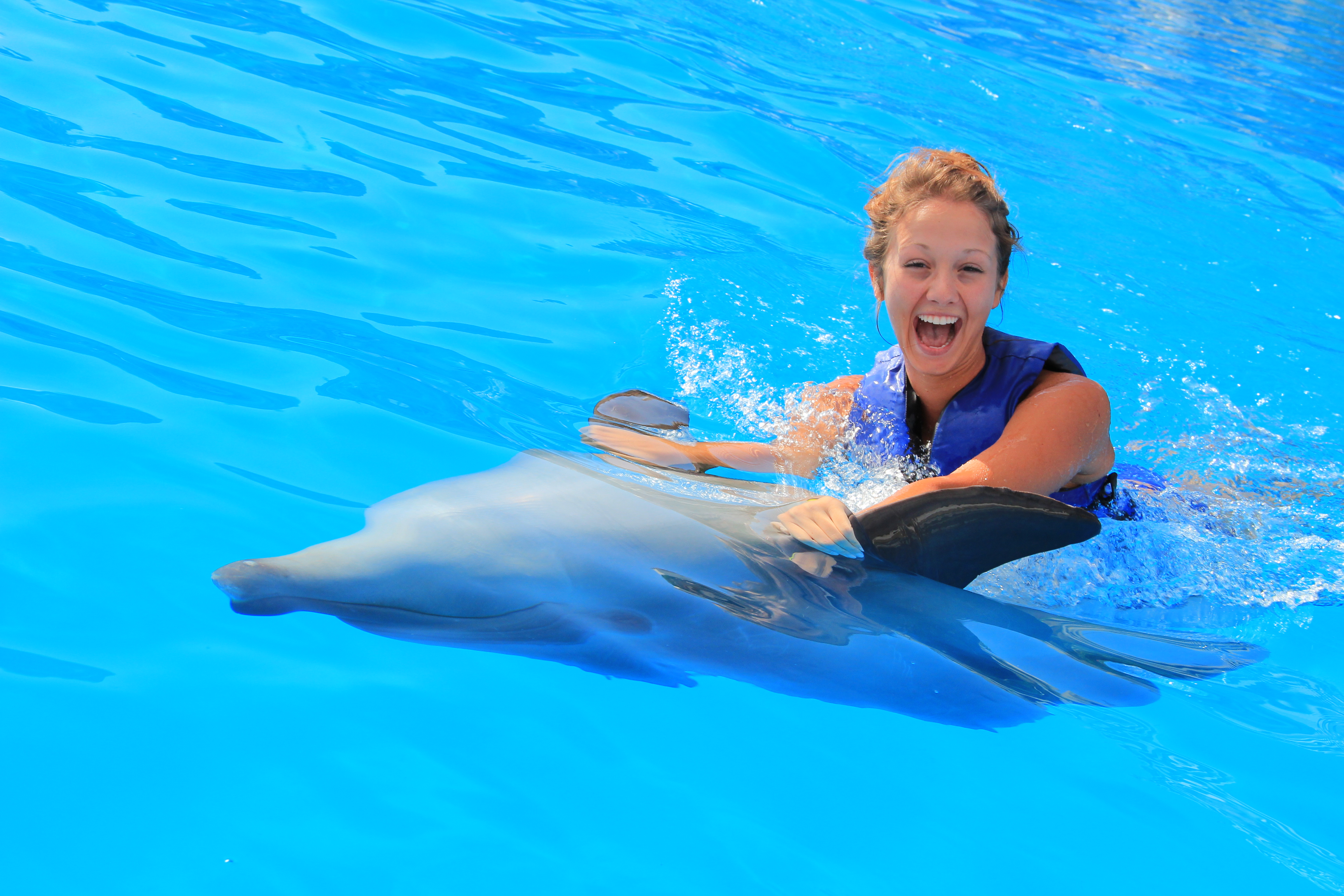 Nado con Delfines VIP