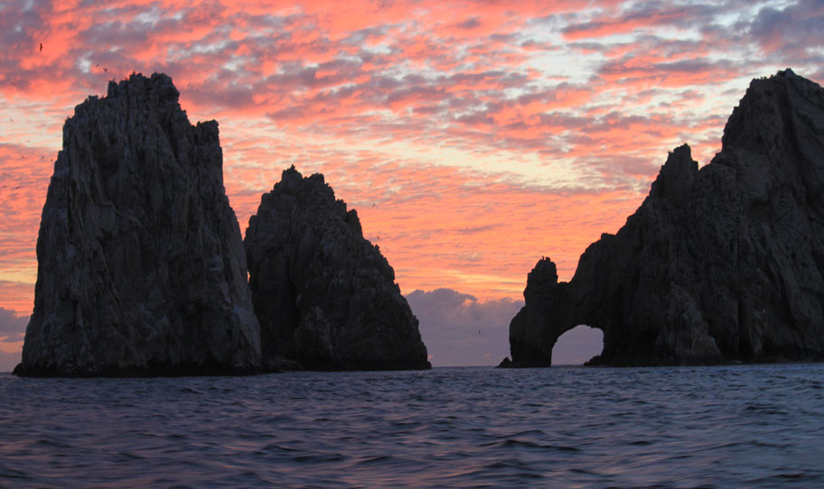 Whale Watching Sunrider Sunset