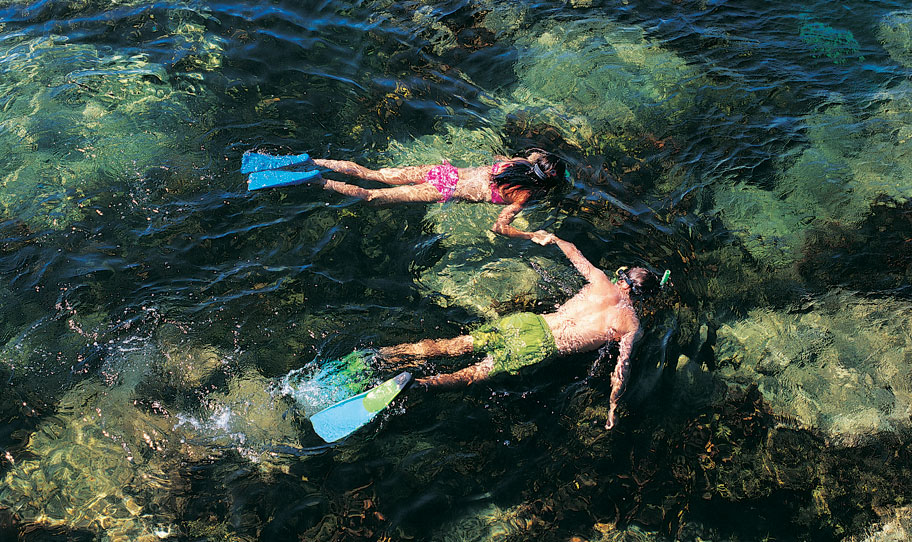 Snorkel Lunch & Sailing 