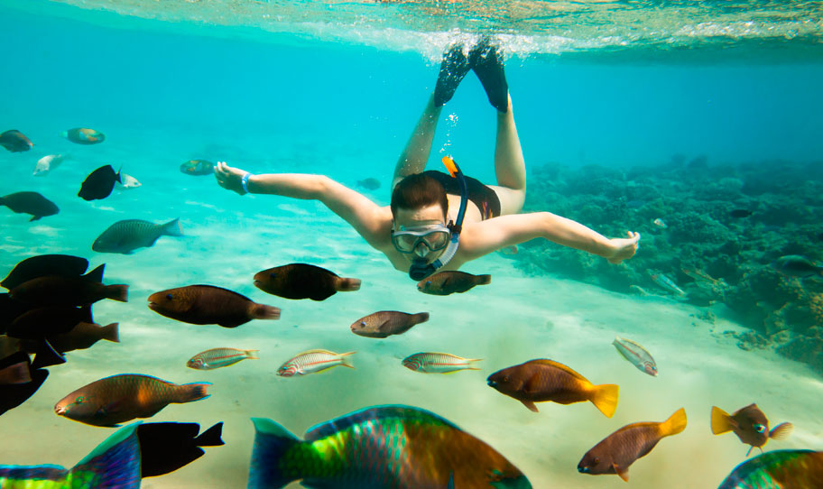 Snorkel Lunch & Sailing 