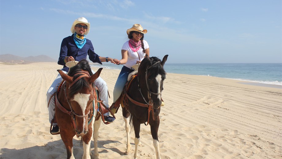 Beach & Desert Horseback Riding 