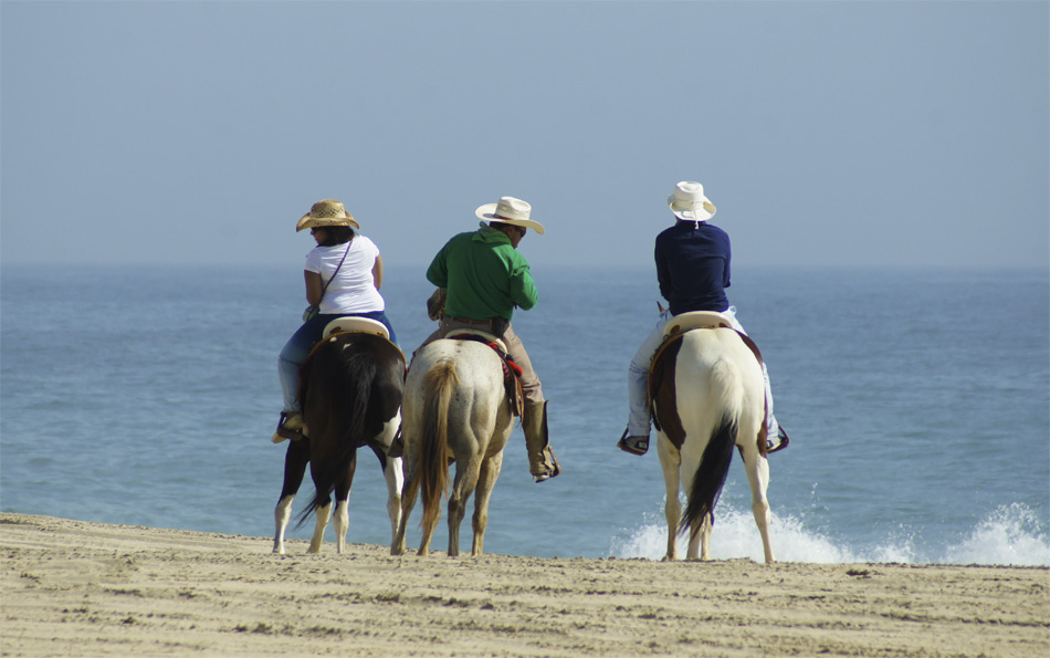 Paseo en Caballo por Playa y Desierto 