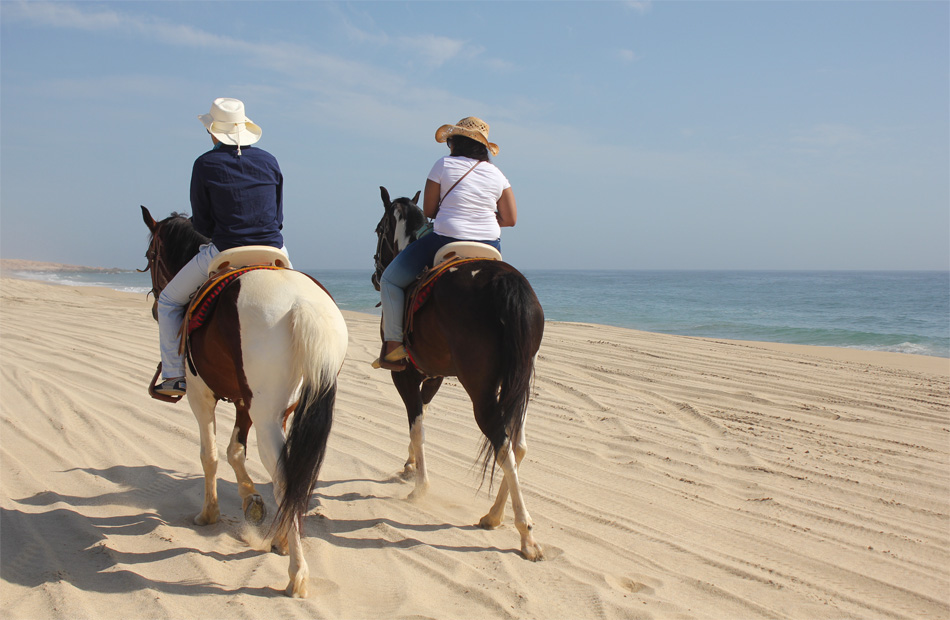 Paseo en Caballo por Playa y Desierto 