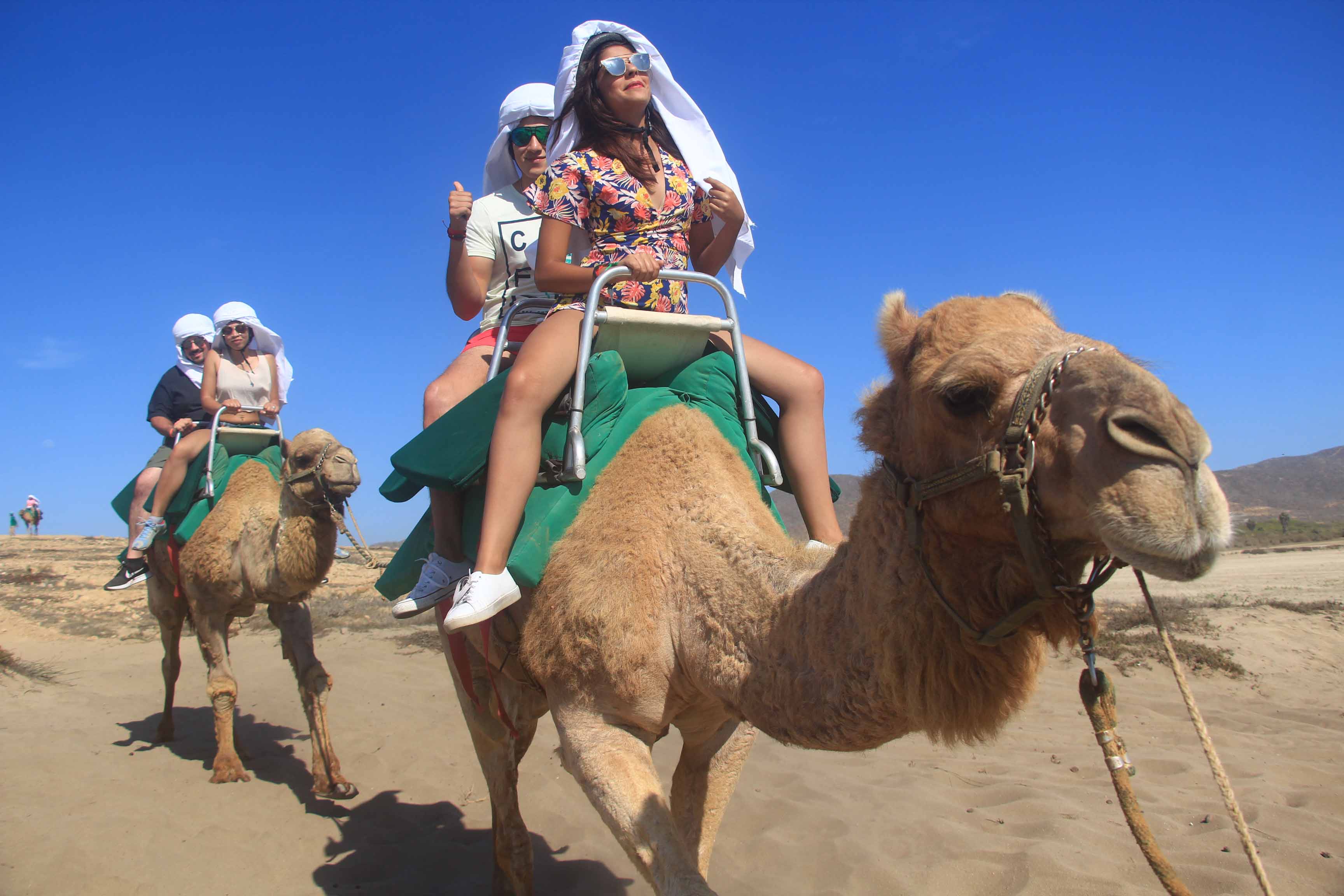 Camel Ride  by Cactus 