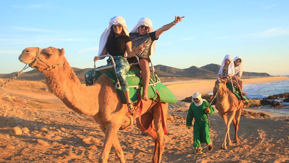 Camel Ride  by Cactus 