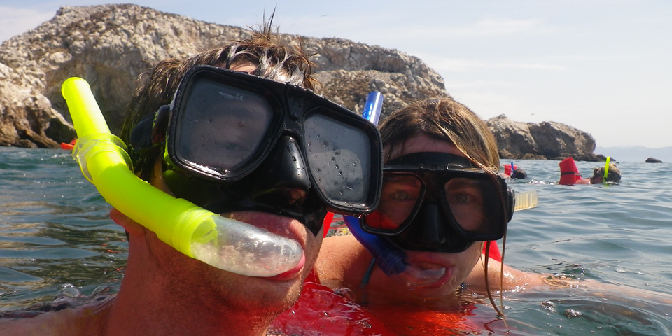 Guided Snorkel
