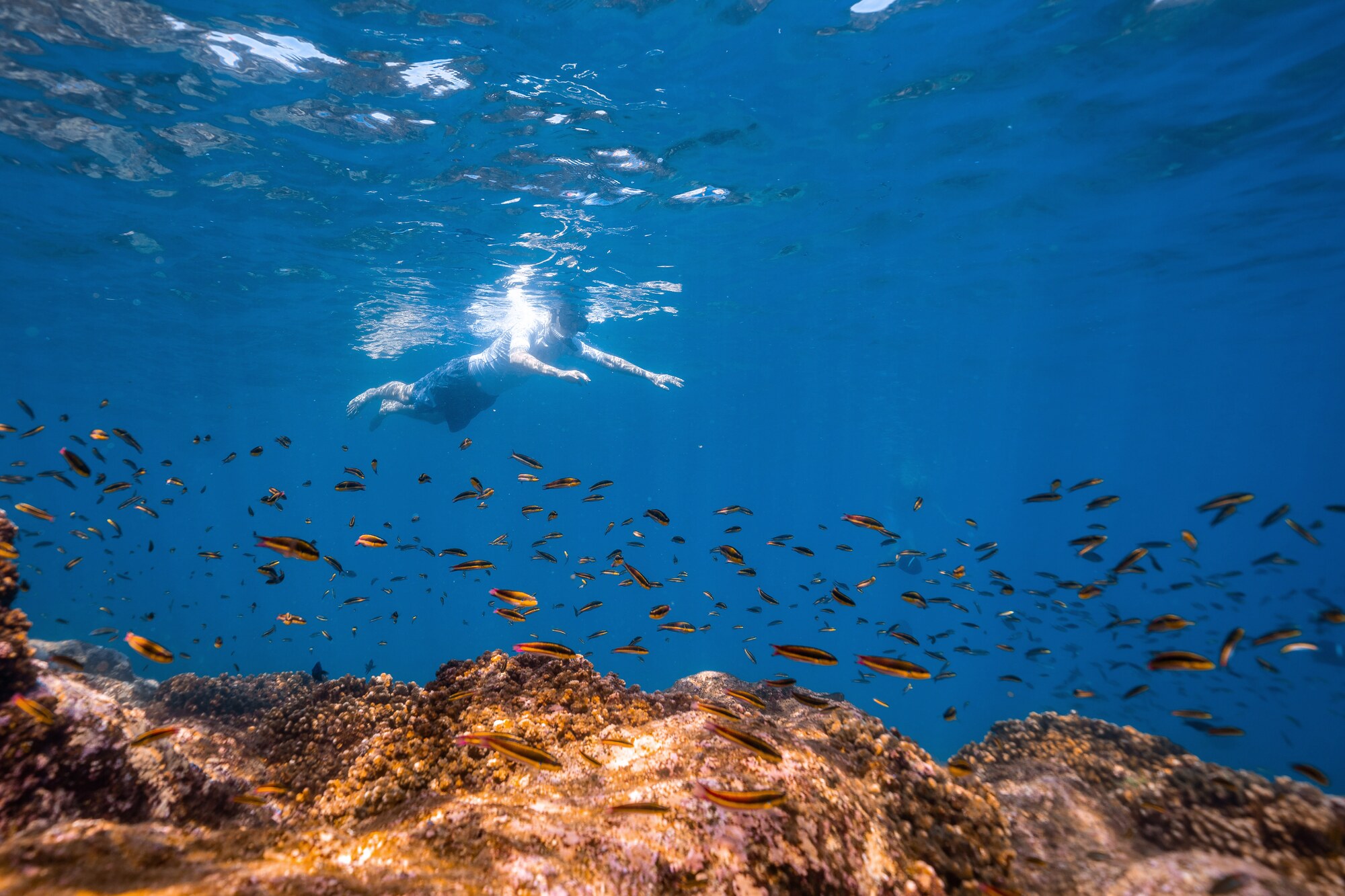 Tour de Snorkel Guiado a Sta Maria & Chileno Bay