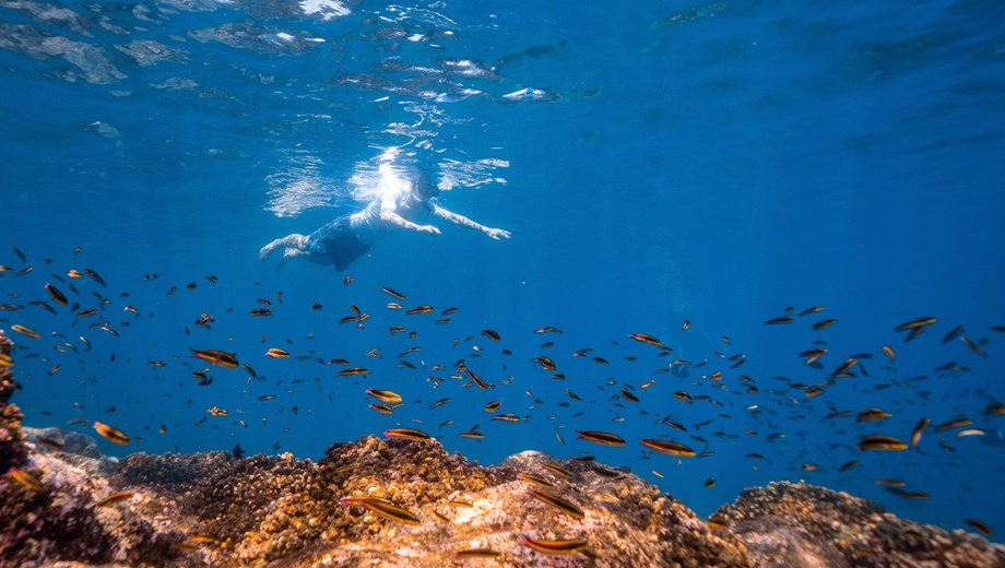 Tour de Snorkel Guiado a Sta Maria & Chileno Bay