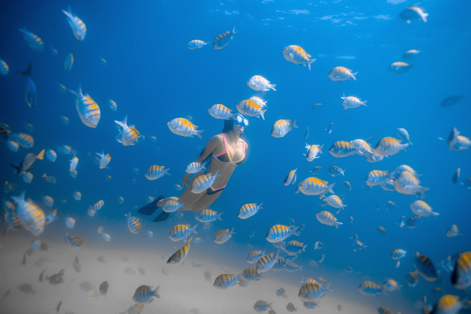 Tour de Snorkel Guiado a Sta Maria & Chileno Bay