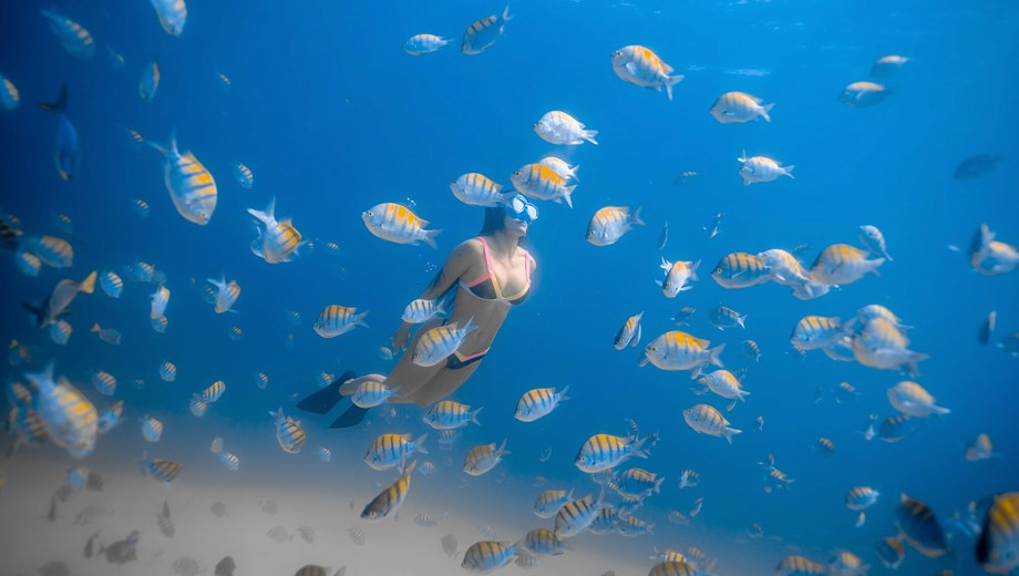 Tour de Snorkel Guiado a Sta Maria & Chileno Bay