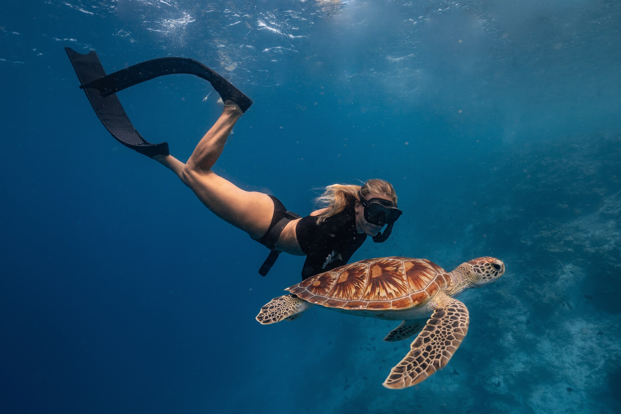 Tour de Snorkel Guiado a Sta Maria & Chileno Bay