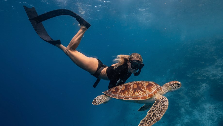 Tour de Snorkel Guiado a Sta Maria & Chileno Bay