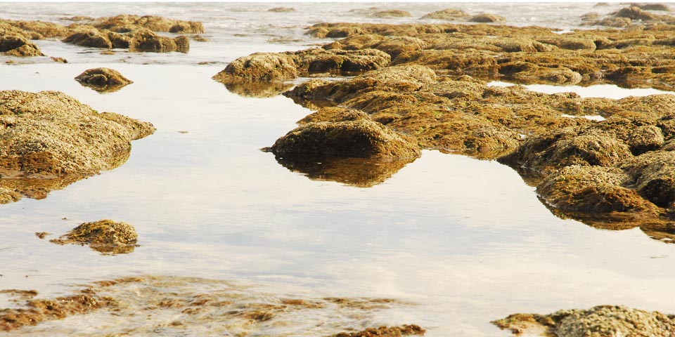 Jeep Tour to Santiago 