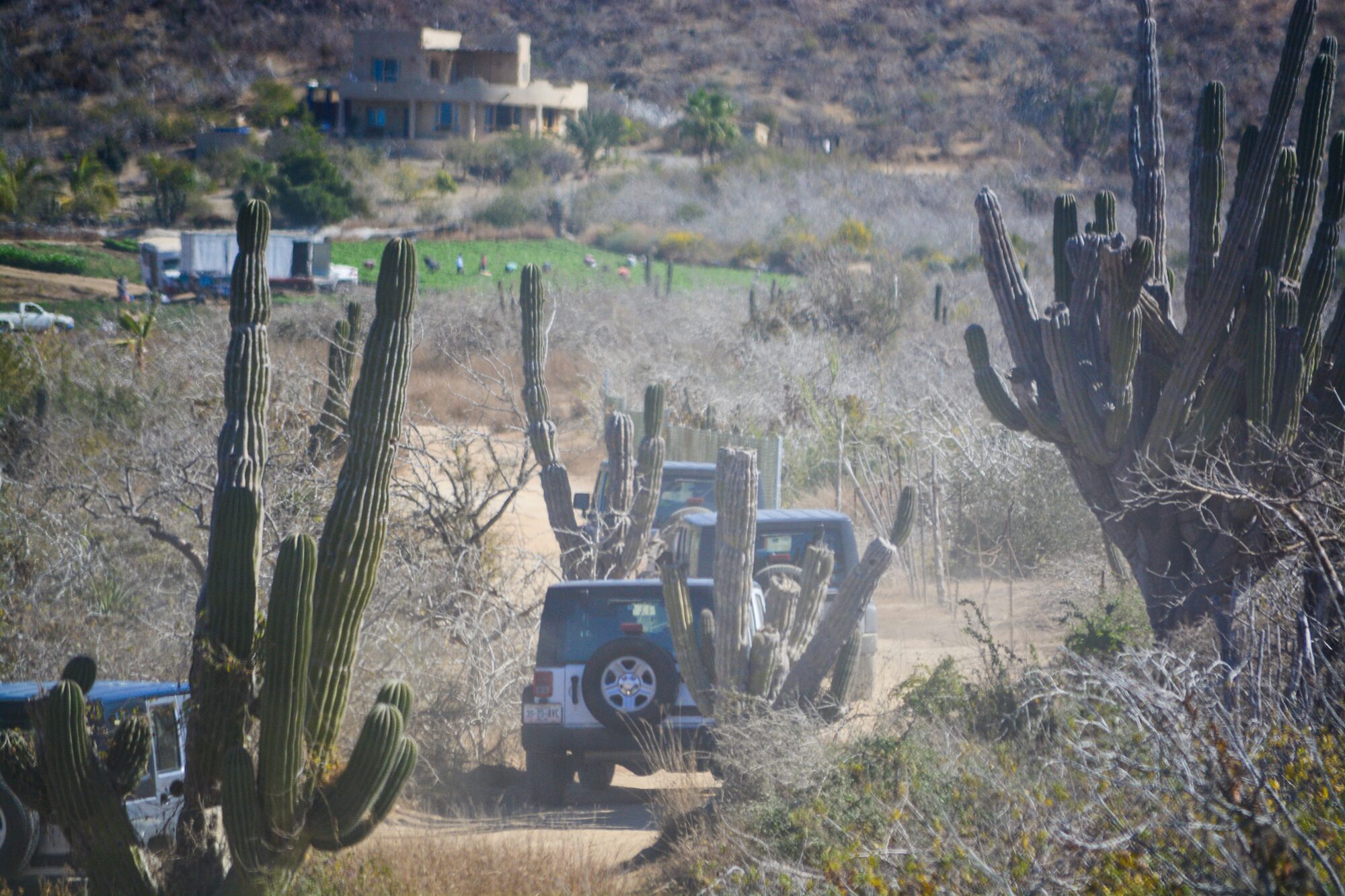 Todo Santos Jeep Tour
