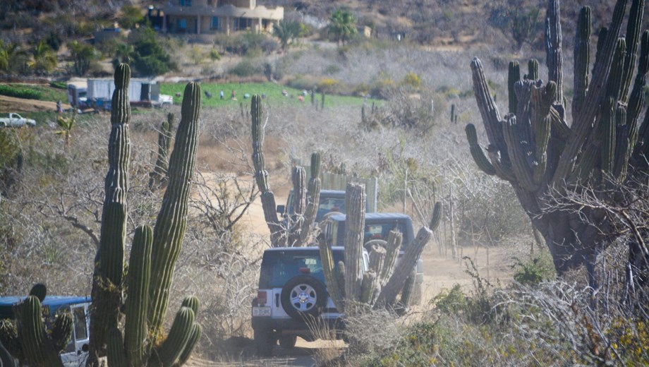 Todo Santos Jeep Tour