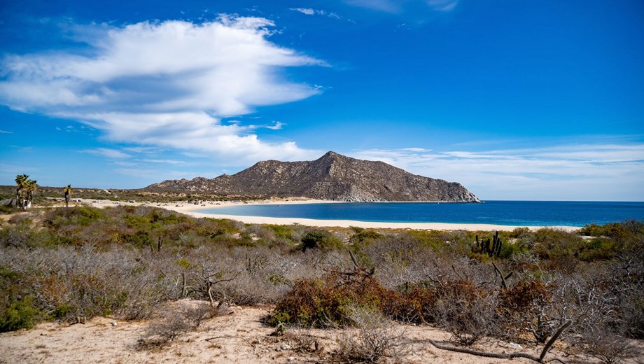 Cabo Pulmo Jeep Tour