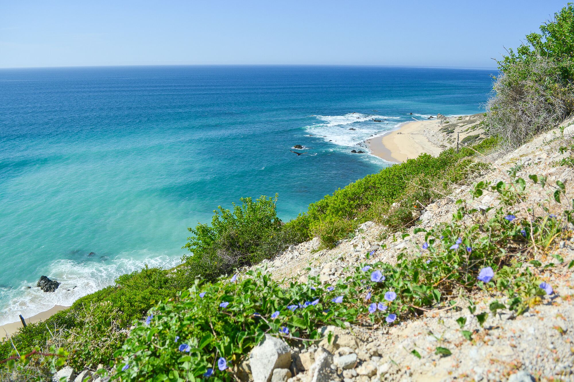 Jeep Tour to Cabo Pulmo