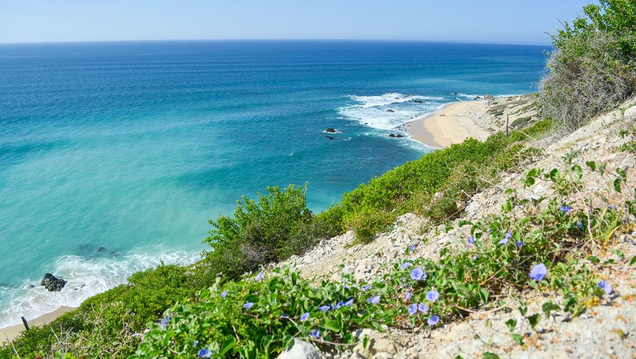 Cabo Pulmo Jeep Tour