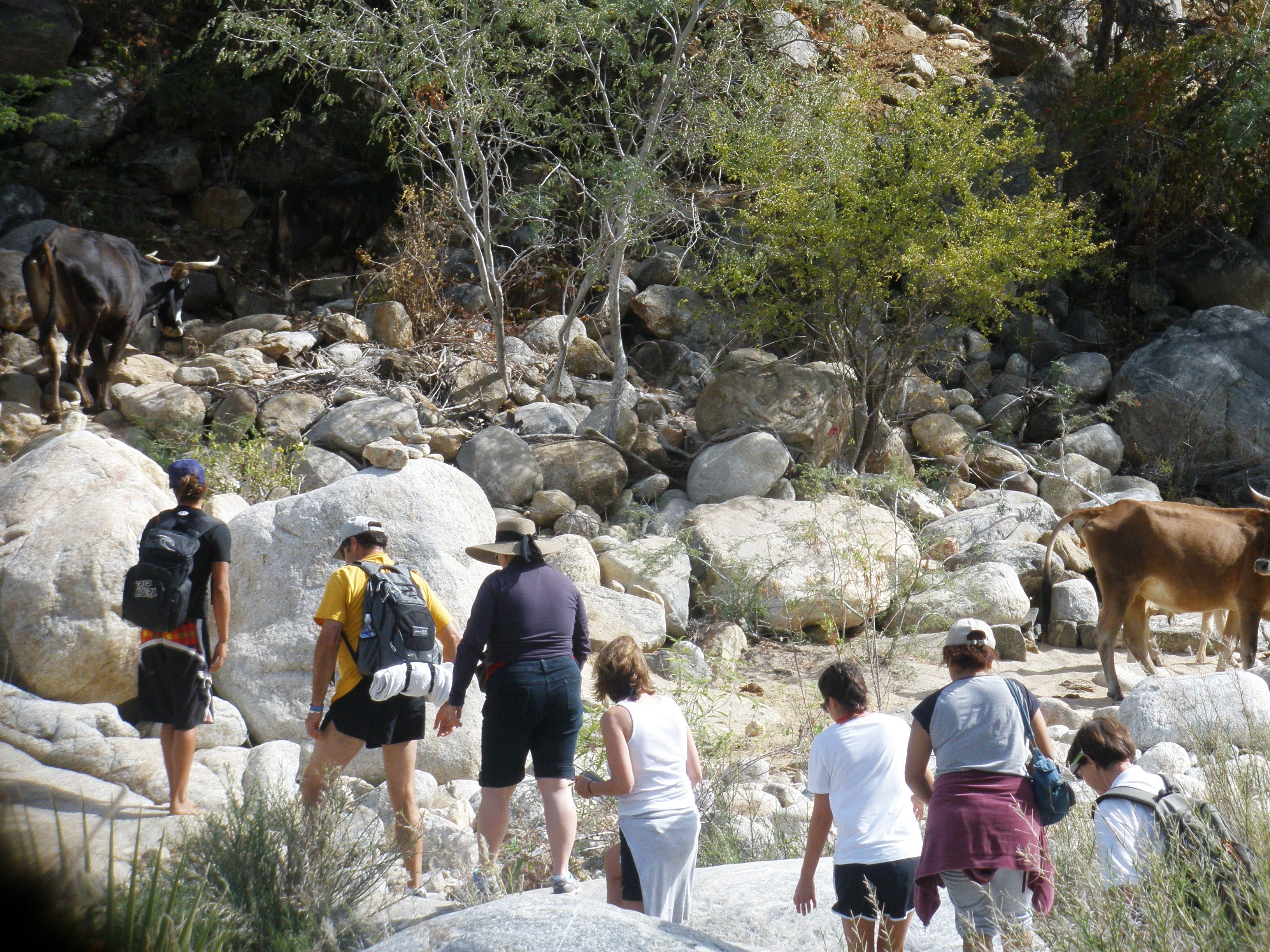 Hiking to the Fox Canyon 