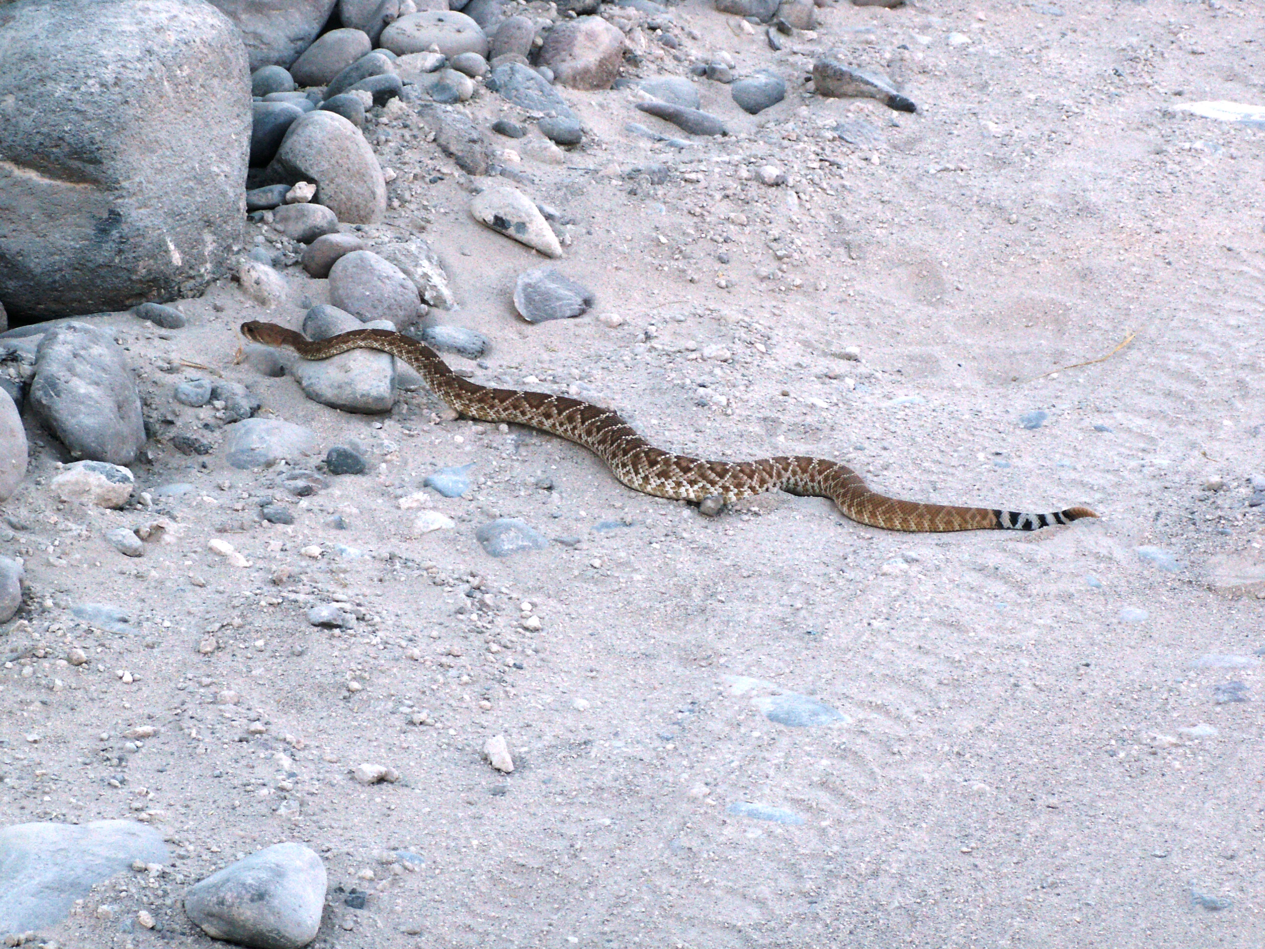 Hiking to the Fox Canyon 