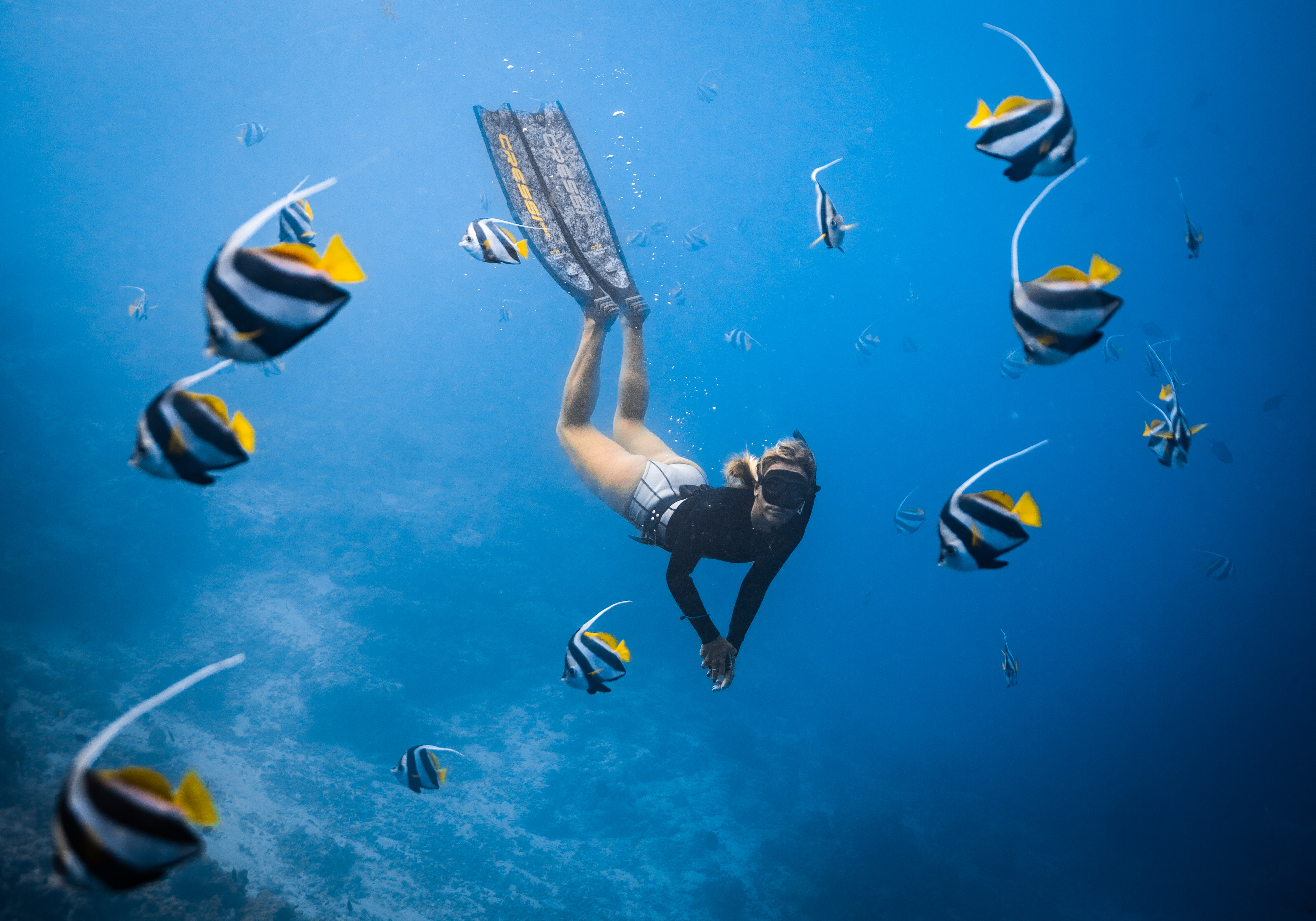 Kayak and Snorkel 2 Bays 
