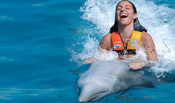 Aventura y Nado con Delfines
