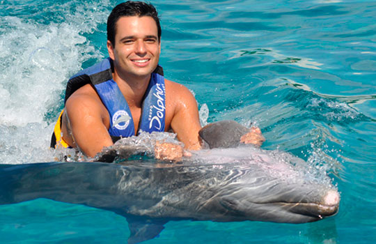 Aventura y Nado con Delfines