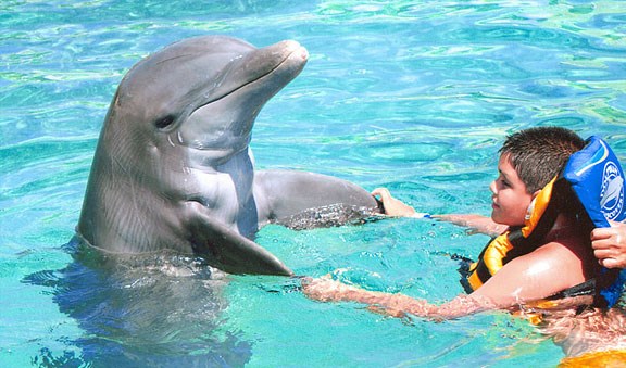 Encuentro con Delfines 