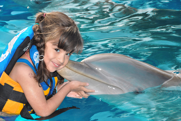 Dolphin Encounter 