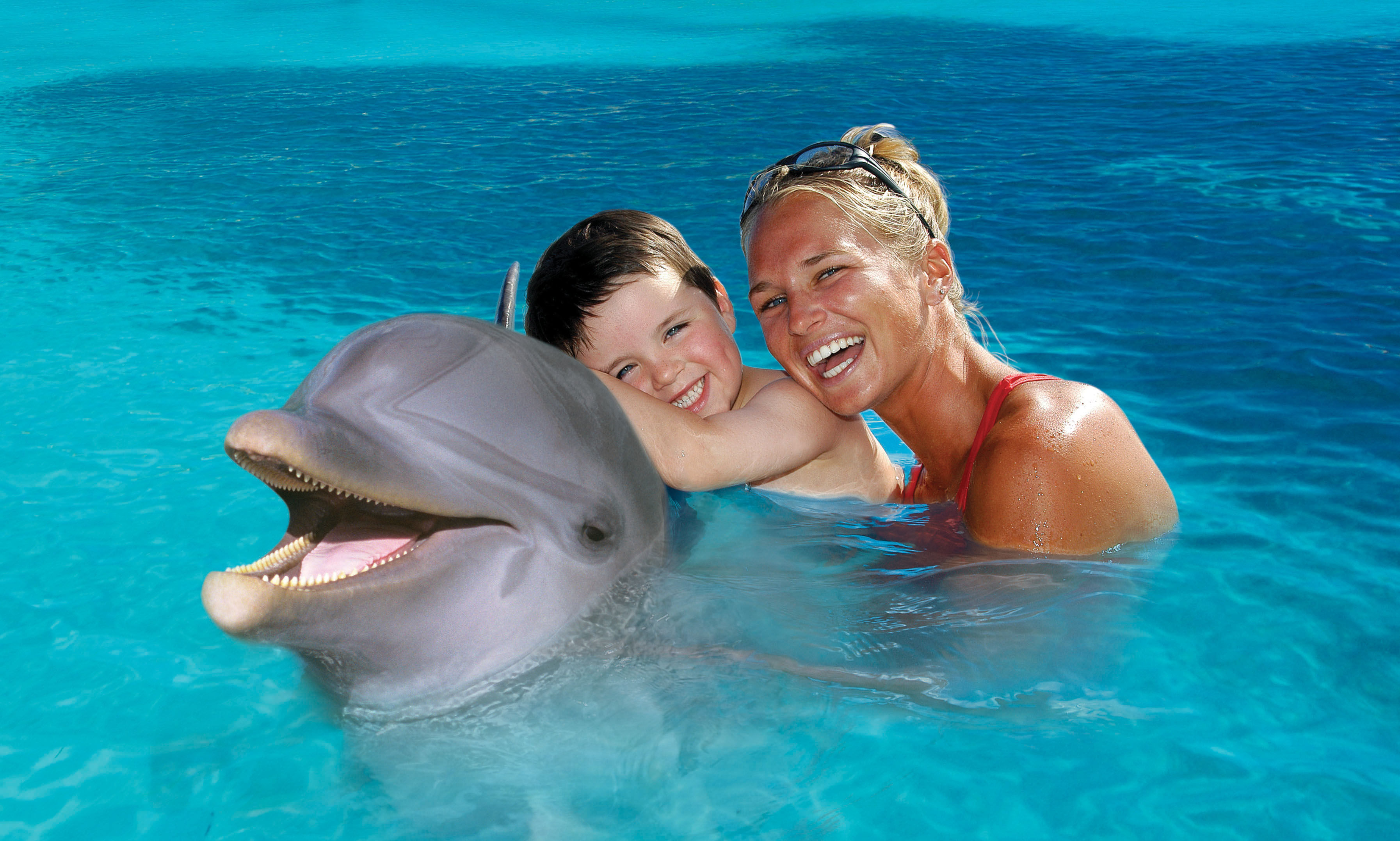 Dolphin Encounter 