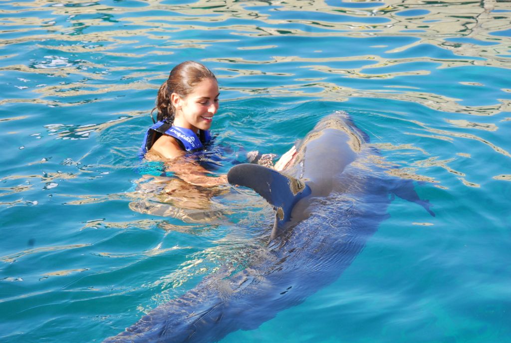 Dolphin Encounter & Royal Garrafon 