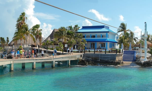 Royal Garrafon & Dolphin  Royal Swim