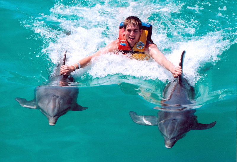 Royal Garrafon & Nado con Delfines