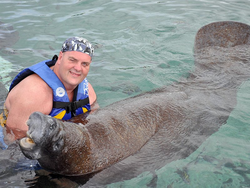 Manatee Encounter Cozumel