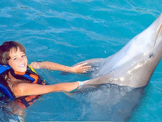 Dolphin Royal Swim & Royal Garrafon 