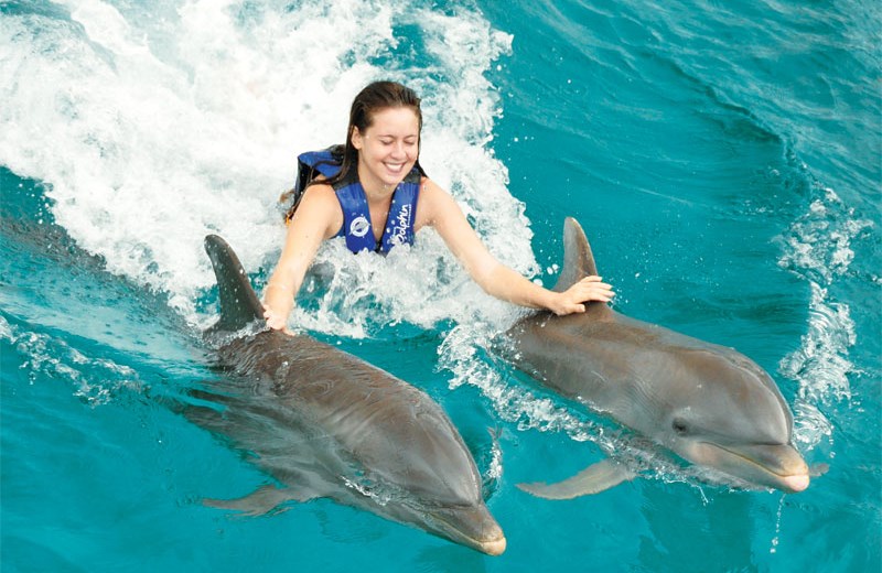 Dolphin Royal Swim & Royal Garrafon 