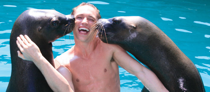 Sea Lion Encounter Cozumel